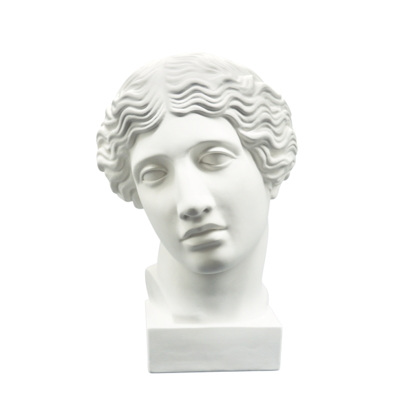 Гипсовая модель Голова Амазонки